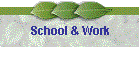 School and Work